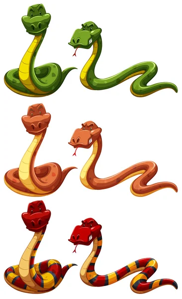 Serpientes — Vector de stock